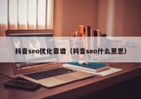 抖音seo优化靠谱（抖音seo什么意思）