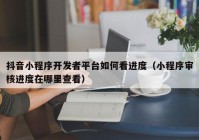 抖音小程序开发者平台如何看进度（小程序审核进度在哪里查看）