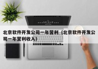 北京软件开发公司一年营利（北京软件开发公司一年营利收入）