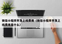 微信小程序开发上线费用（微信小程序开发上线费用是什么）