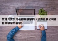 软件开发公司名称带敏字的（软件开发公司名称带敏字的名字）