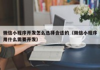 微信小程序开发怎么选择合适的（微信小程序用什么需要开发）