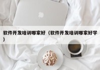 软件开发培训哪家好（软件开发培训哪家好学）