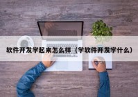 软件开发学起来怎么样（学软件开发学什么）