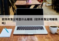 软件开发公司靠什么赚钱（软件开发公司赚钱吗）