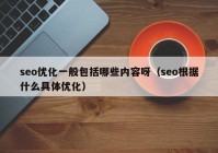 seo优化一般包括哪些内容呀（seo根据什么具体优化）