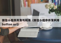 微信小程序开发与利用（微信小程序开发利用button url）