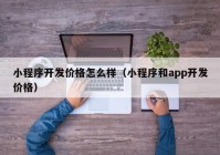 小程序开发价格怎么样（小程序和app开发价格）