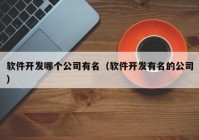 软件开发哪个公司有名（软件开发有名的公司）